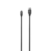 iStore USB-C to USB-A Cable
