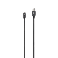 iStore USB-C to USB-A Cable